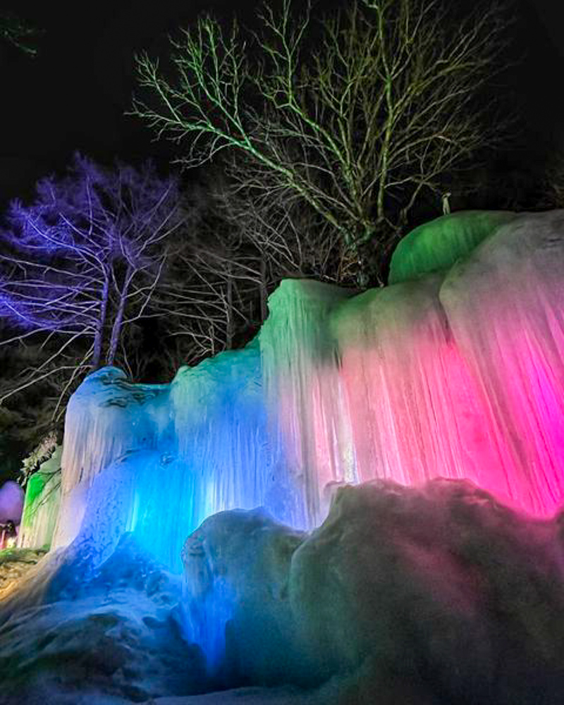 氷点下の森、冬景色、ライトアップ、2月の冬、岐阜県高山市の観光・撮影スポットの画像と写真