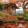 天開山　泰運寺、紅葉、11月秋、三重県松阪市の観光・撮影スポットの名所