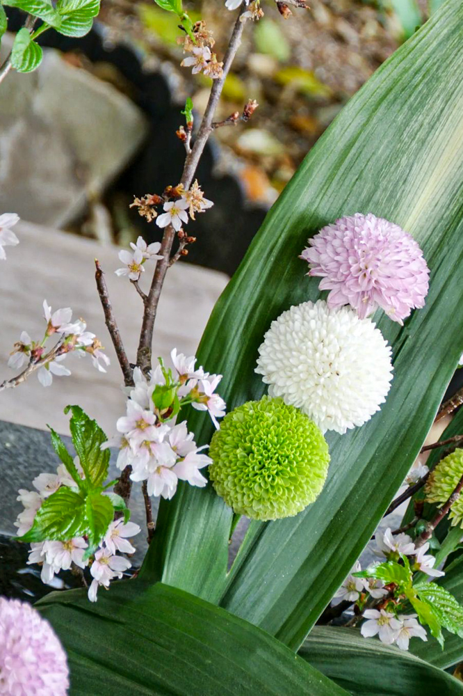 熊野神社、花手水舎、4月春、愛知県東海市の観光・撮影スポットの名所