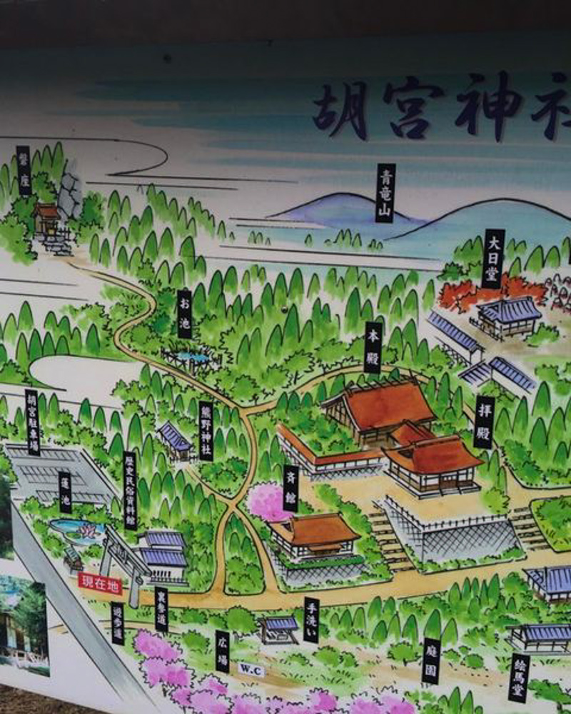 胡宮神社 、紅葉、11月秋、滋賀県愛知郡の観光・撮影スポットの名所