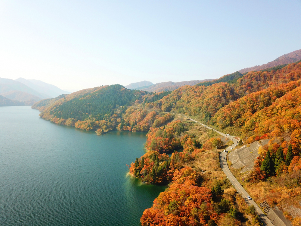 九頭竜湖、紅葉、１１月秋、福井県福井市の観光・撮影スポット