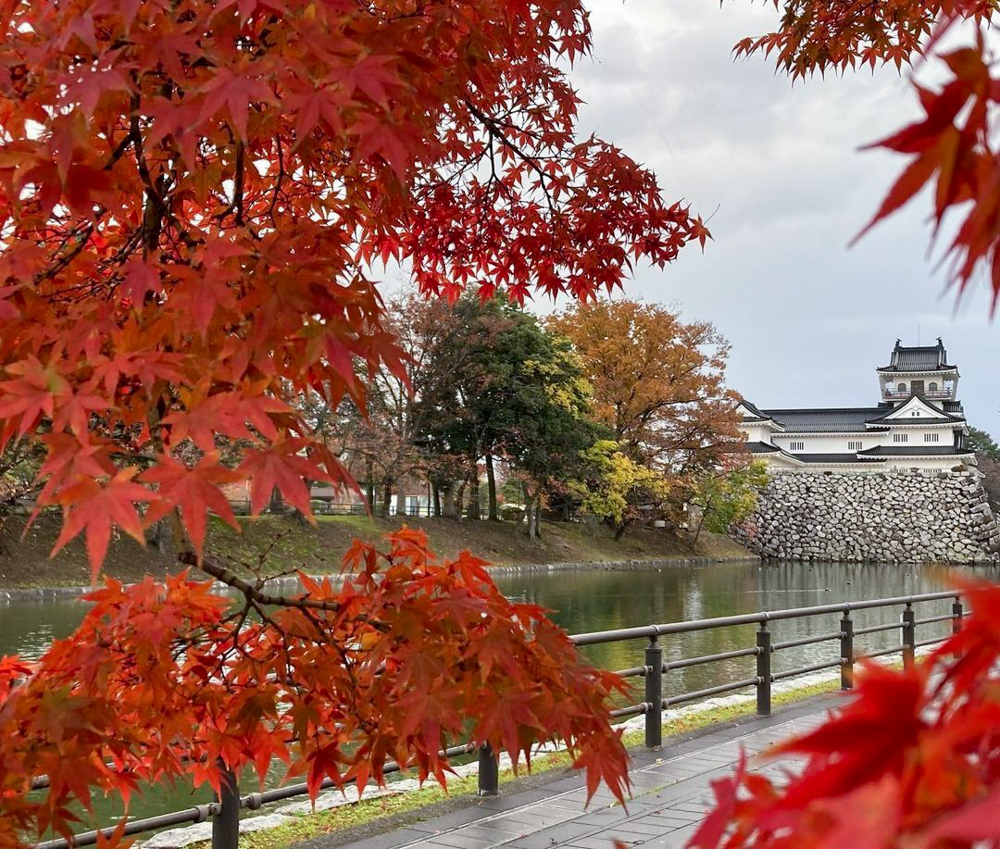 富山城跡公園、紅葉、もみじ、11月秋、富山県富山市の観光・撮影スポット