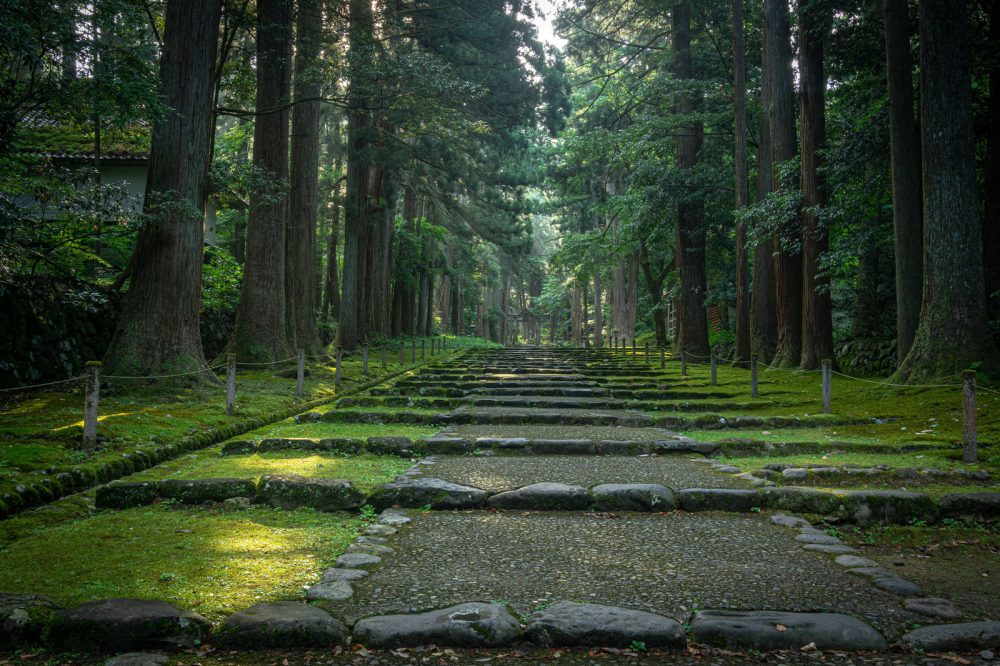 平泉寺白山神社、６月夏、福井県勝山市の観光・撮影スポット