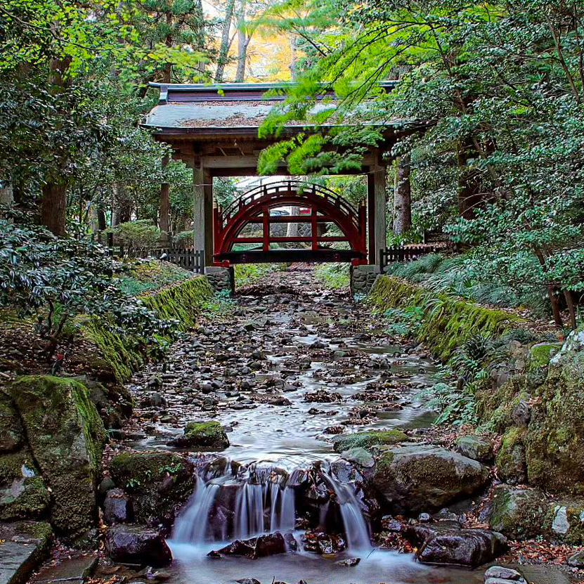彌彦神社、2023年11月秋、新潟県西蒲原郡の観光・撮影スポット