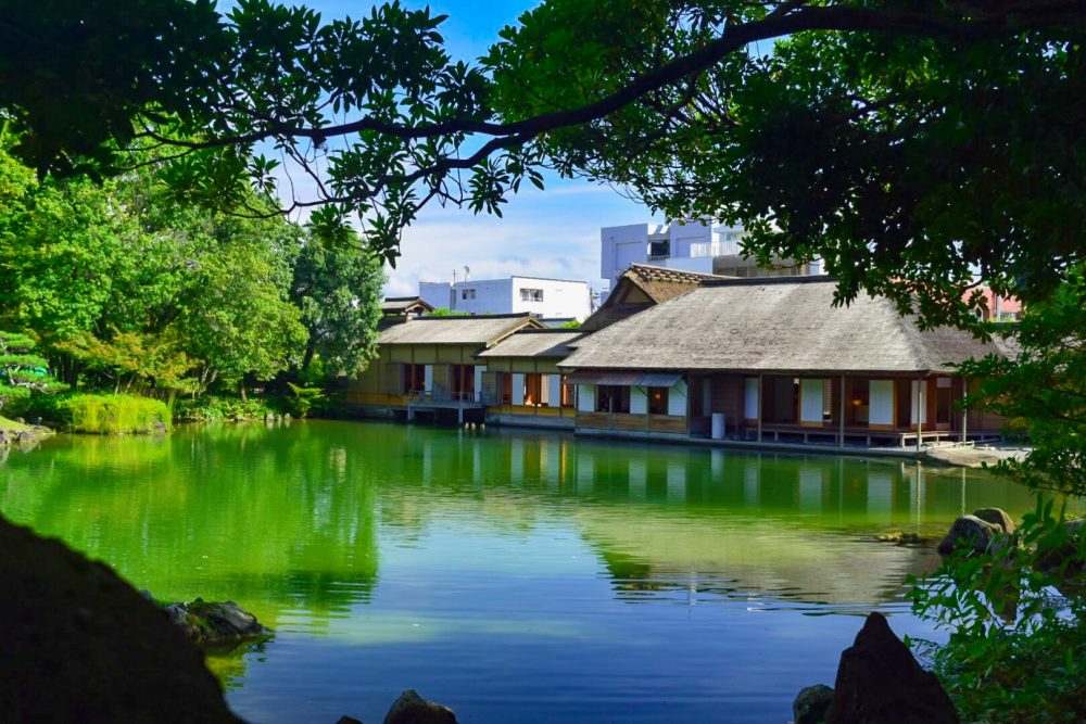 養浩館庭園、日本庭園６月夏、福井県福井市の観光・撮影スポット