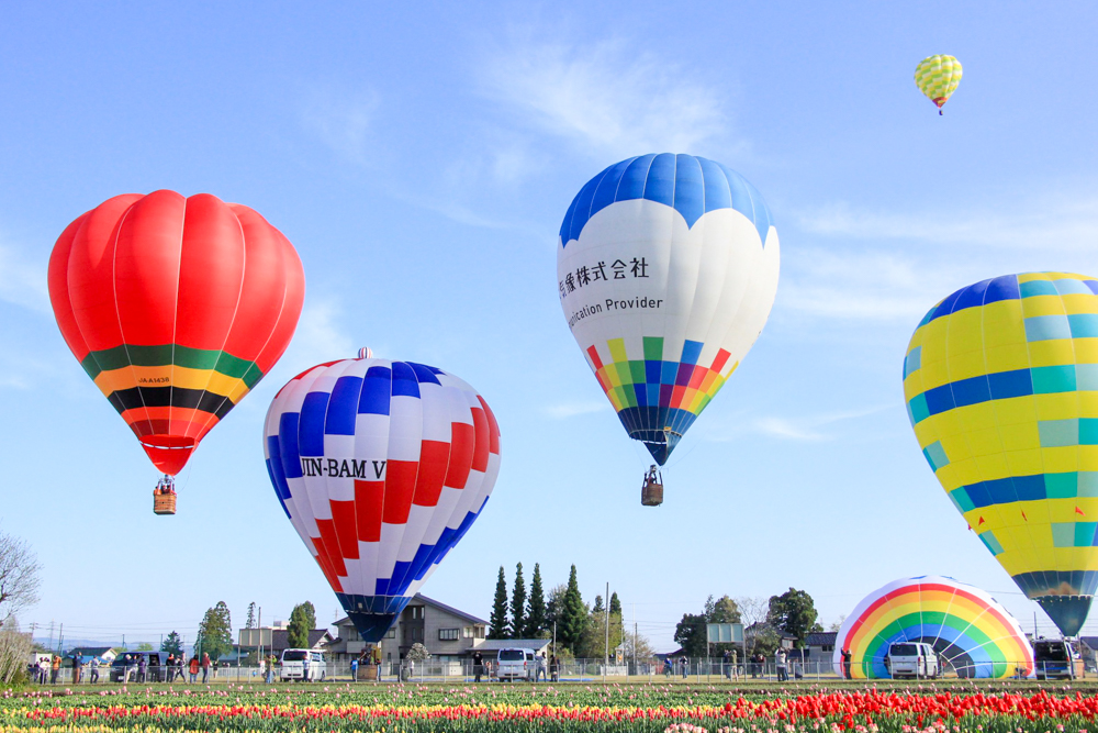 砺波チューリップバルーン、熱気球、４月春、富山県砺波市の観光・撮影スポット
