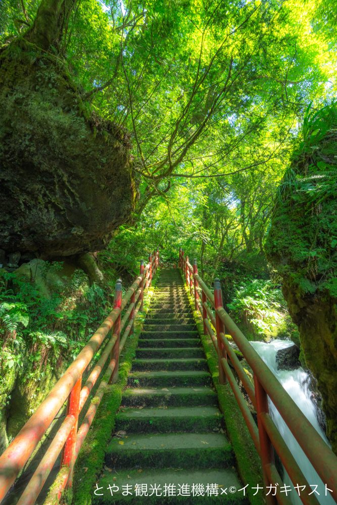 千巌渓、新緑、6月、富山県中新川郡の観光・撮影スポット