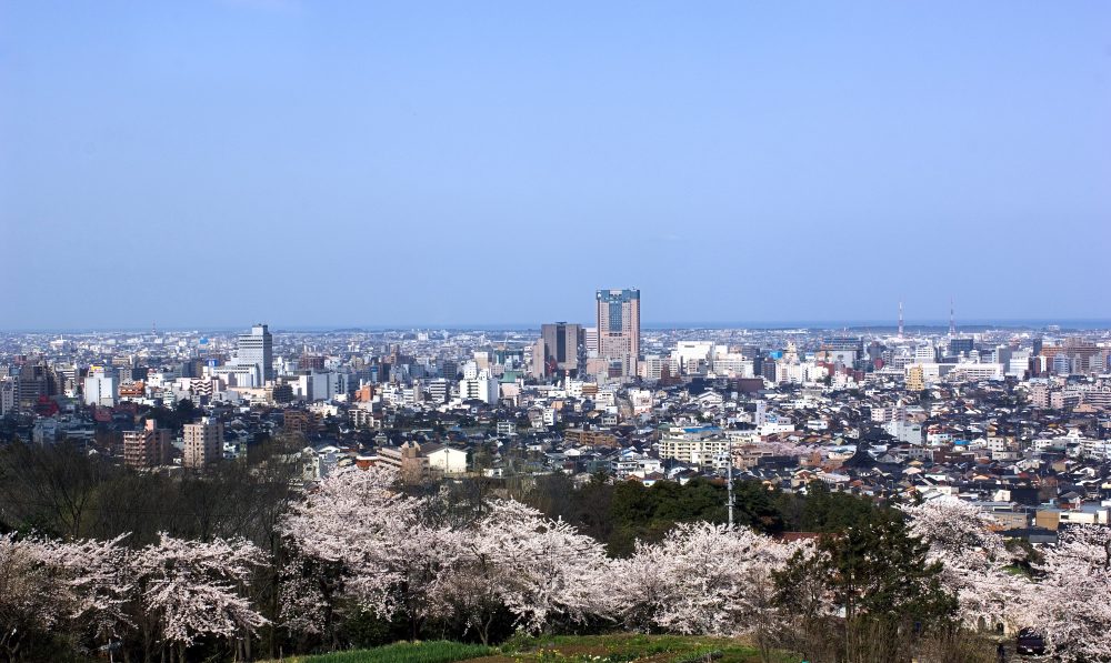 卯辰山公園、桜、４月春の花、石川県金沢市の観光・撮影スポット