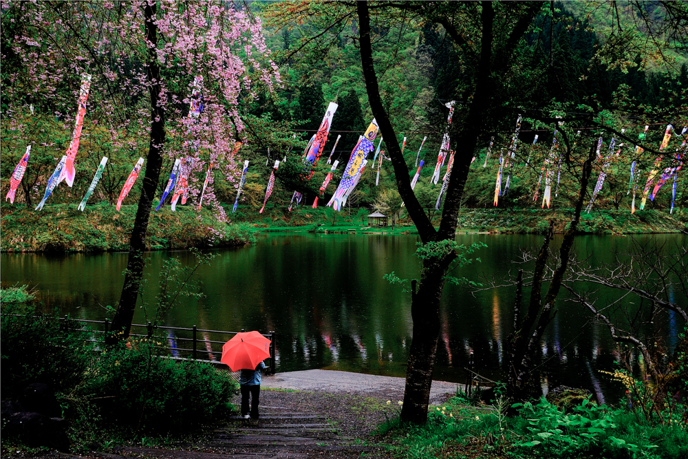 大崎ダム公園、こいのぼり、４月春、新潟県南魚沼市の観光・撮影スポット