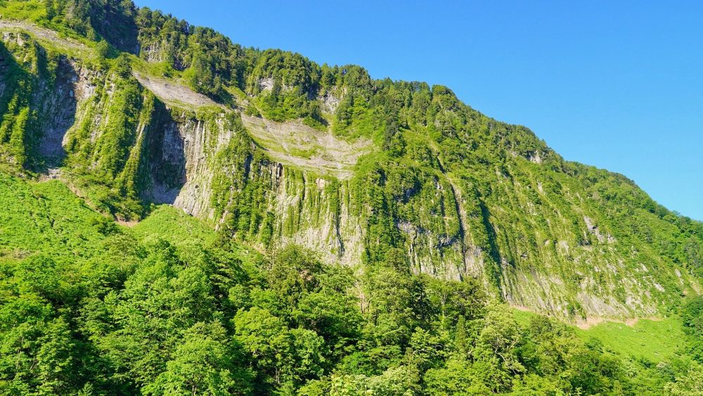 悪城の壁、新緑、6月夏、富山県中新川郡の観光・撮影スポット