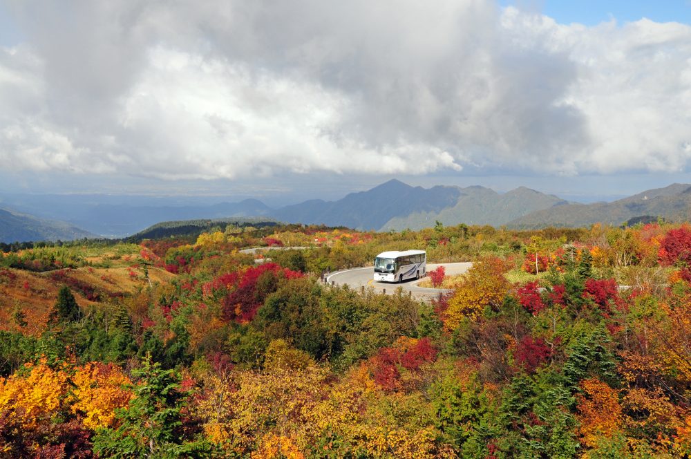 立山高原バス、紅葉、９月、富山県中新川郡の観光・撮影スポット