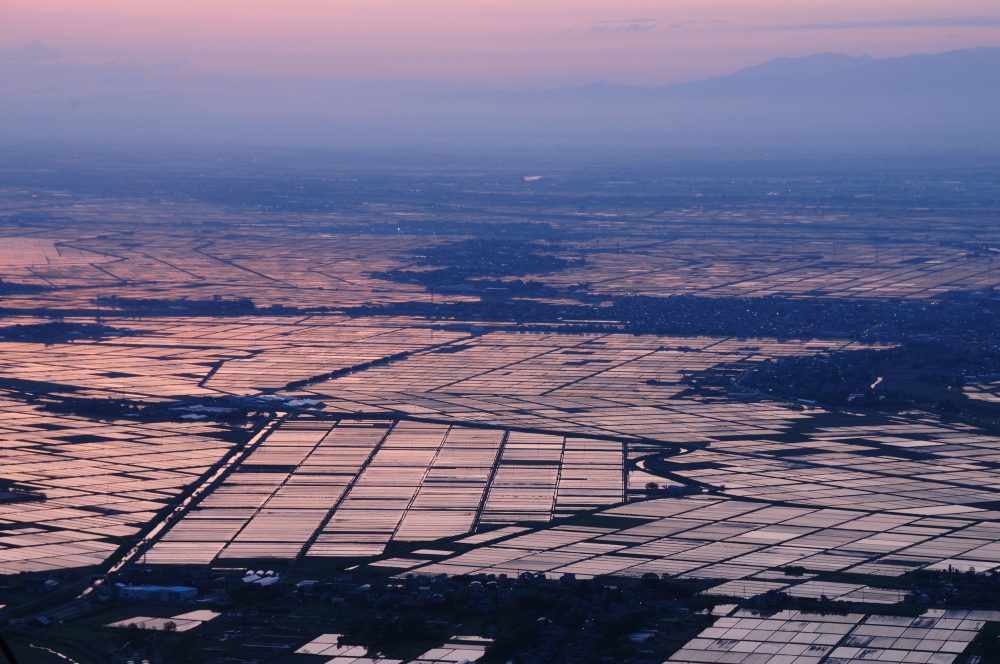 護摩堂山 水田,越後平野の夜明け 、５月夏、潟県南蒲原郡の観光・撮影スポット