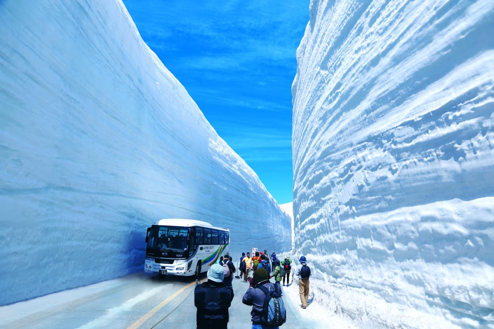 雪の大谷ウォーク、４月、富山県中新川郡の観光・撮影スポット