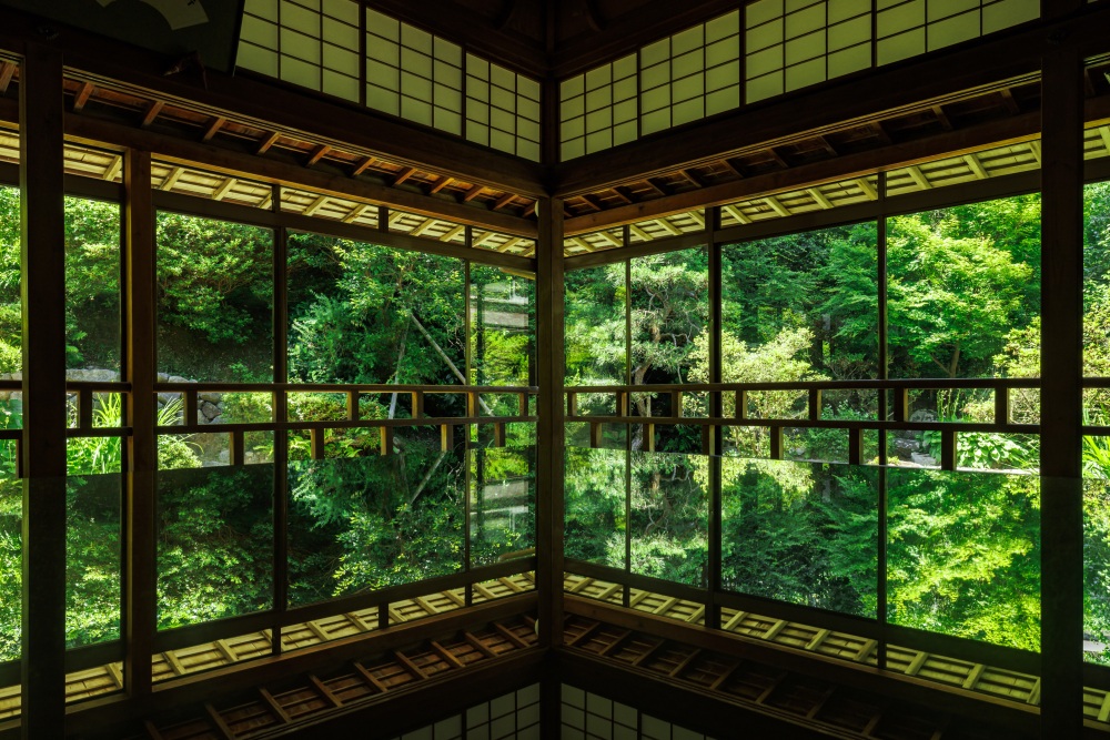 青林寺、新緑、６月、石川県七尾市の観光・撮影スポット