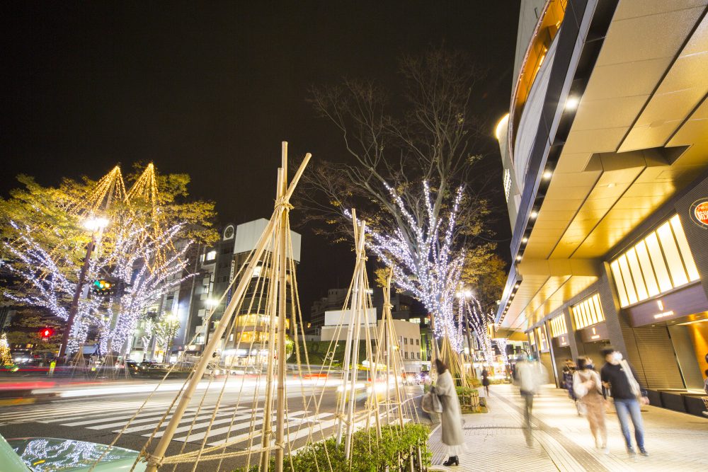 香林坊ツリー・ファンタジー、イルミネーション、１２月冬、石川県金沢市の観光・撮影スポット