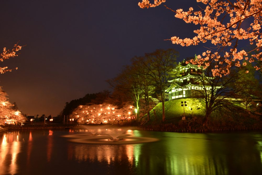 高田城址公園観桜会、４月春、新潟県上越市の観光・撮影スポット