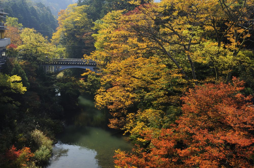 山中温泉鶴仙渓、紅葉、１１月秋、石川県金沢市の観光・撮影スポット