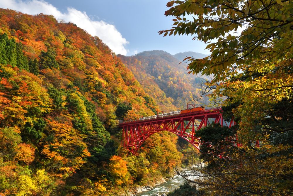 黒部峡谷トロッコ電車、紅葉、11月秋、富山県黒部市の観光・撮影スポット