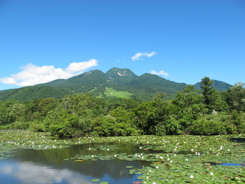いもり池、６月夏、新潟県妙高市の観光・撮影スポット