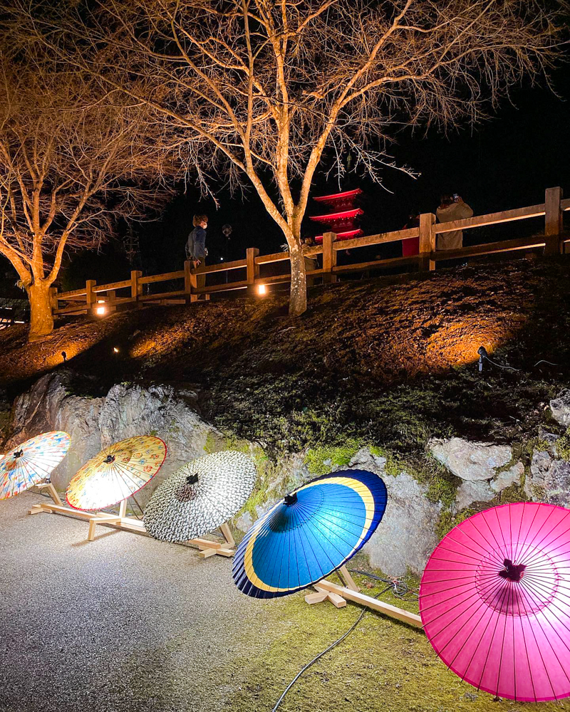 岐阜公園、ぎふ灯り物語、和傘、ライトアップ、和傘、１月冬、岐阜県岐阜市の観光・撮影スポットの名所