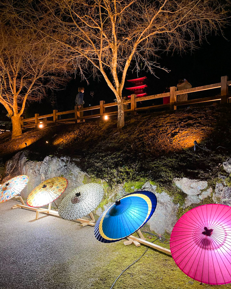 岐阜公園、ぎふ灯り物語、和傘、ライトアップ、和傘、１月冬、岐阜県岐阜市の観光・撮影スポットの名所