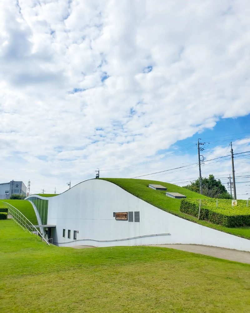 矢勝川、ごんの秋まつり、9月の秋の花、愛知県半田市の観光・撮影スポットの画像と写真