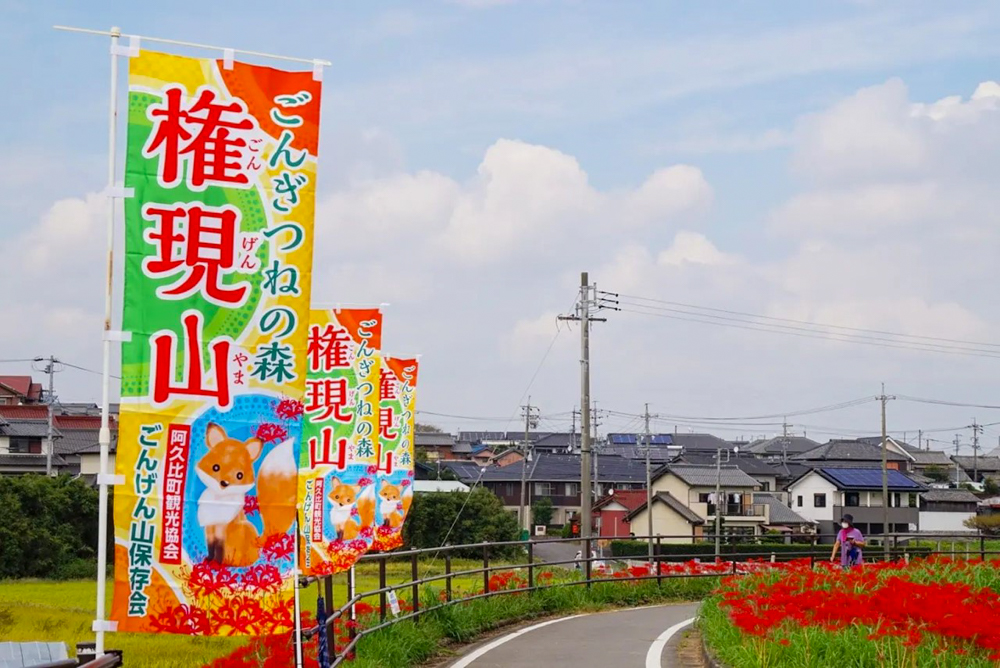 矢勝川、彼岸花、ごんの秋まつり、9月の秋の花、愛知県半田市の観光・撮影スポットの画像と写真