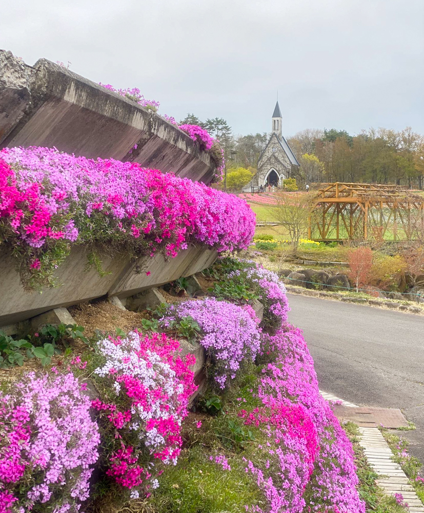 牧歌の里、春の花、5月夏の花、岐阜県郡上市の観光・撮影スポットの名所