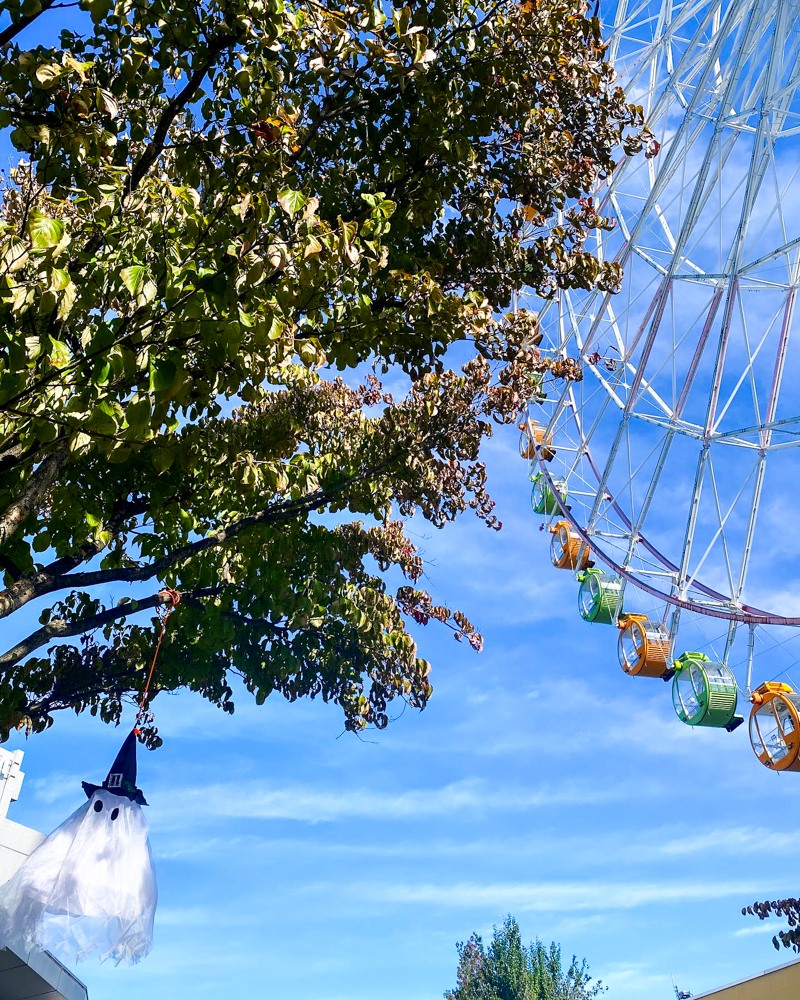 河川環境楽園オアシスパーク、ハロウィン、10月の秋の花、岐阜県各務原市の観光・撮影スポットの画像と写真