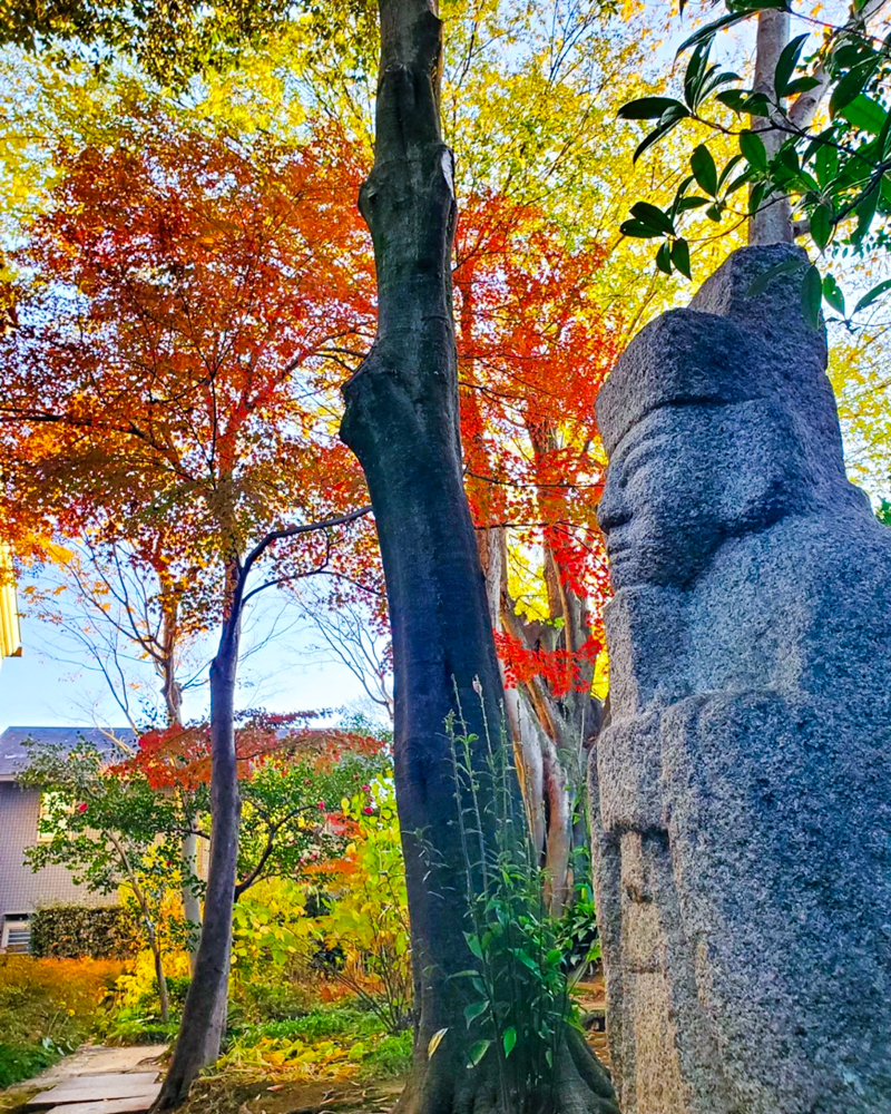 一宮市尾西歴史民俗資料館 、紅葉、11月秋、愛知県一宮市の観光・撮影スポットの名所