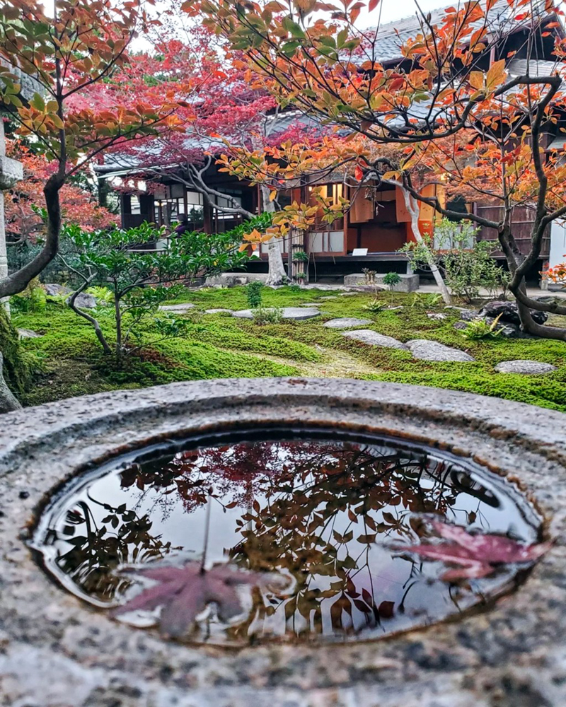 一宮市尾西歴史民俗資料館 、紅葉、11月秋、愛知県一宮市の観光・撮影スポットの名所