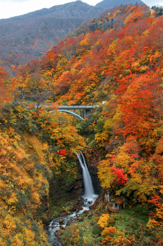 関山不動滝（大滝)　、紅葉、１１月秋、新潟県妙高市の観光・撮影スポット