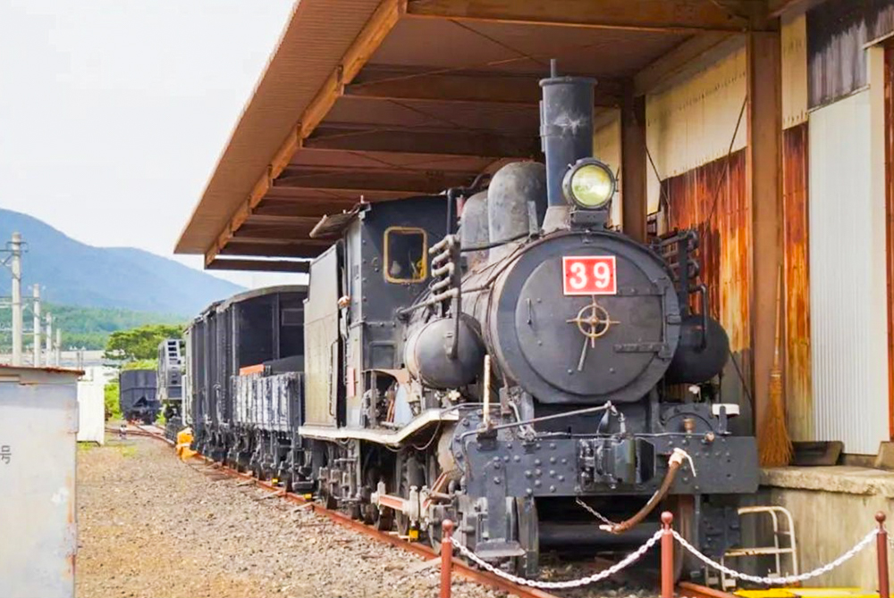 貨物鉄道博物館、丹生川駅、三岐鉄道、9月秋の花、三重県いなべ市の観光・撮影スポットの名所