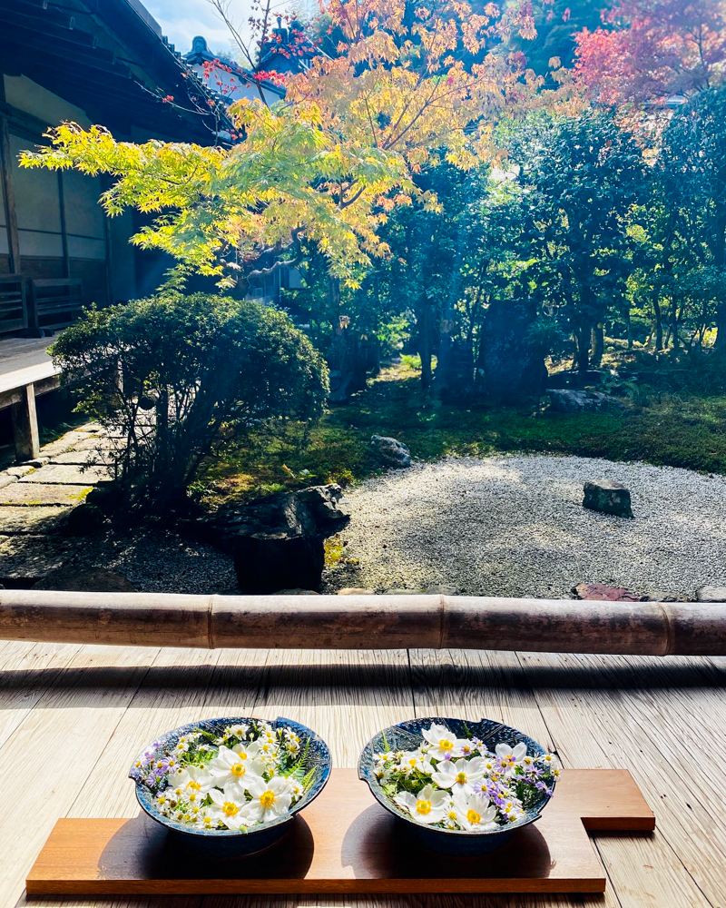 小倉山 二尊院 、花手水舎、10月秋、京都府京都市の観光・撮影スポットの名所