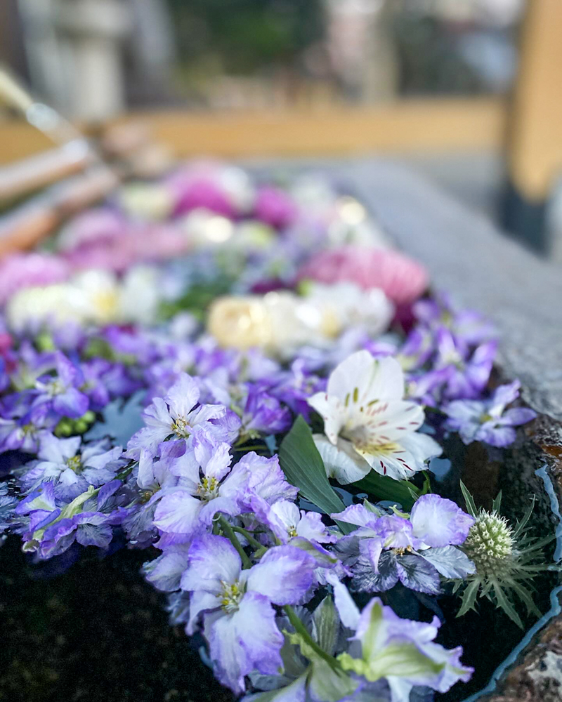 城南神社、花手水舎、3月春、三重県桑名市の観光・撮影スポットの名所