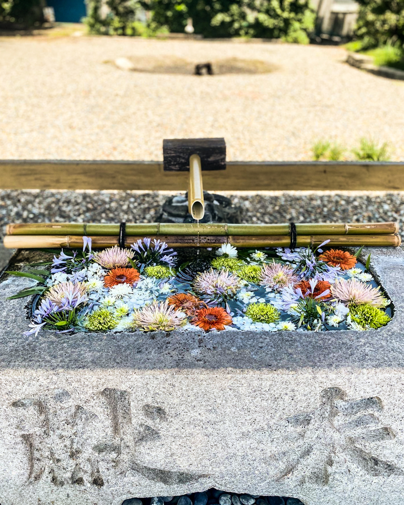 城南神社、花手水舎、７月夏、三重県桑名市の観光・撮影スポットの名所
