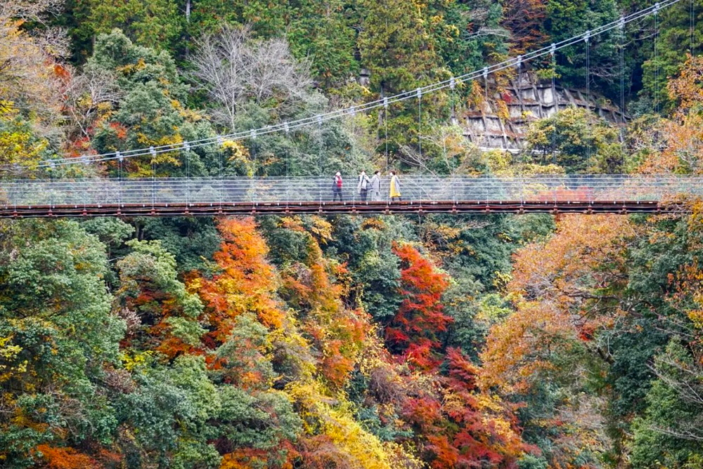 多良峡森林公園、紅葉、11月秋、岐阜県大垣市の観光・撮影スポットの画像と写真