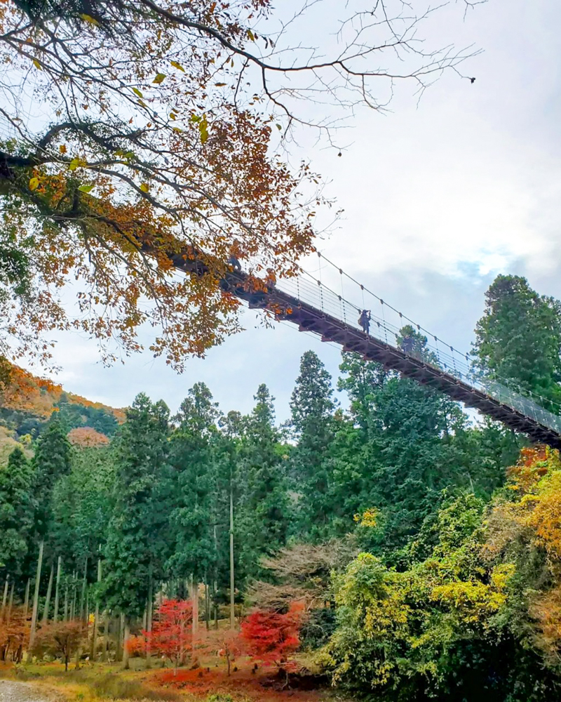 多良峡森林公園、紅葉、11月秋、岐阜県大垣市の観光・撮影スポットの画像と写真