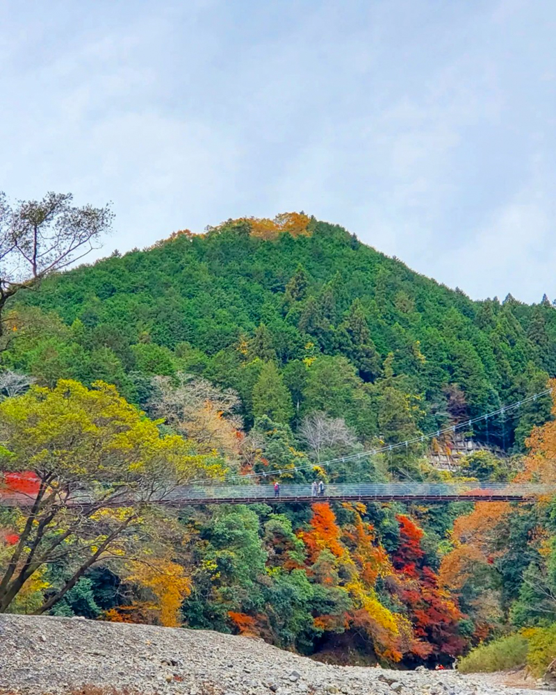 多良峡森林公園、紅葉、11月秋、岐阜県大垣市の観光・撮影スポットの画像と写真