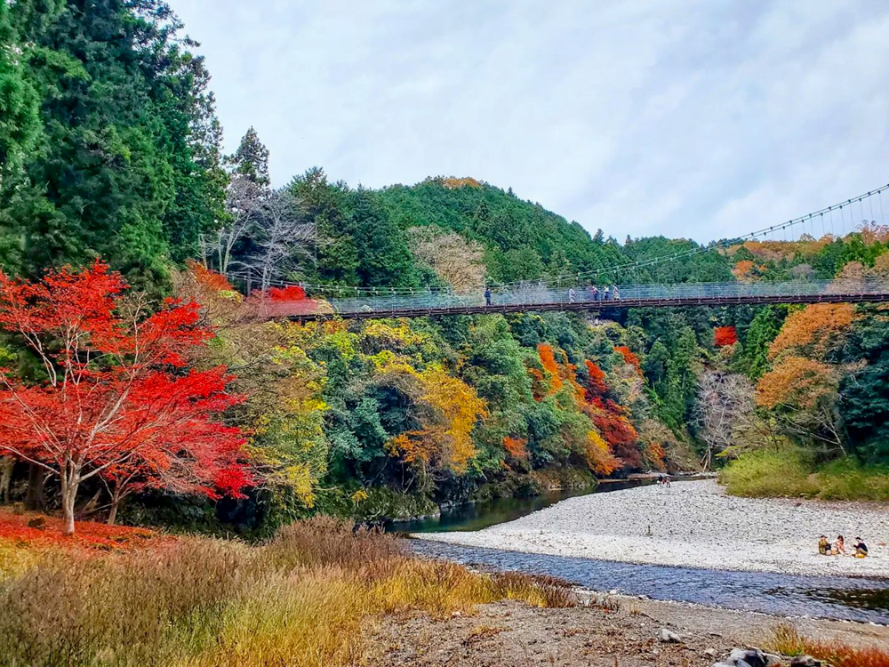 多良峡森林公園、紅葉、11月秋、岐阜県大垣市の観光・撮影スポットの画像と写真