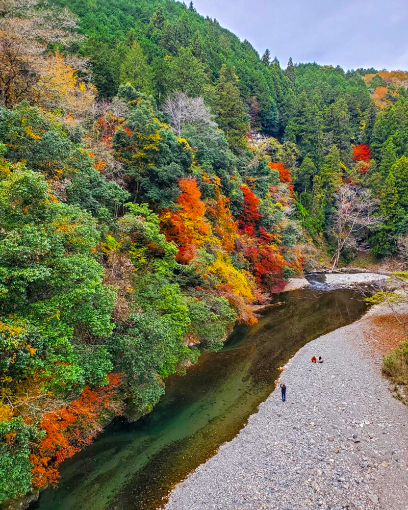 多良峡森林公園、紅葉、11月秋、岐阜県大垣市の観光・撮影スポットの画像と写真