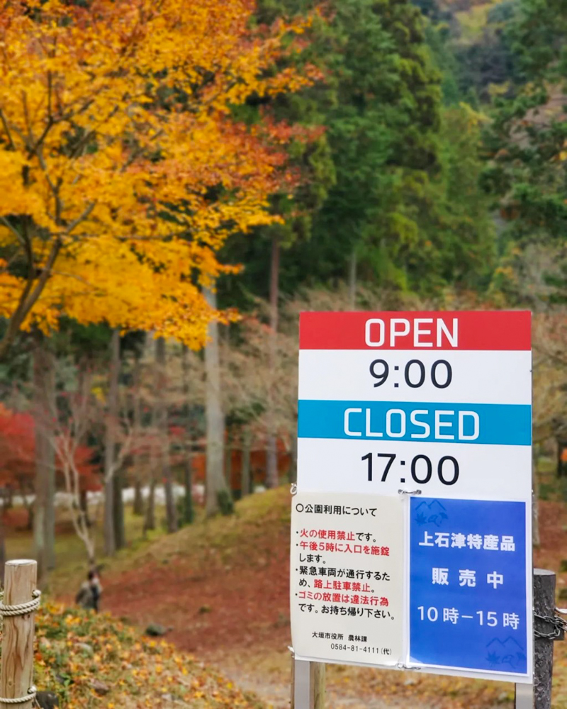 多良峡森林公園、紅葉、11月秋、岐阜県大垣市の観光・撮影スポットの画像と写真