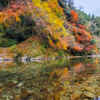 多良峡森林公園、紅葉、11月秋、岐阜県大垣市の観光・撮影スポットの画像と写真