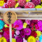 大浜てらまちウォーキング、花手水 、１０月秋、愛知県碧南市の観光・撮影スポットの画像と写真