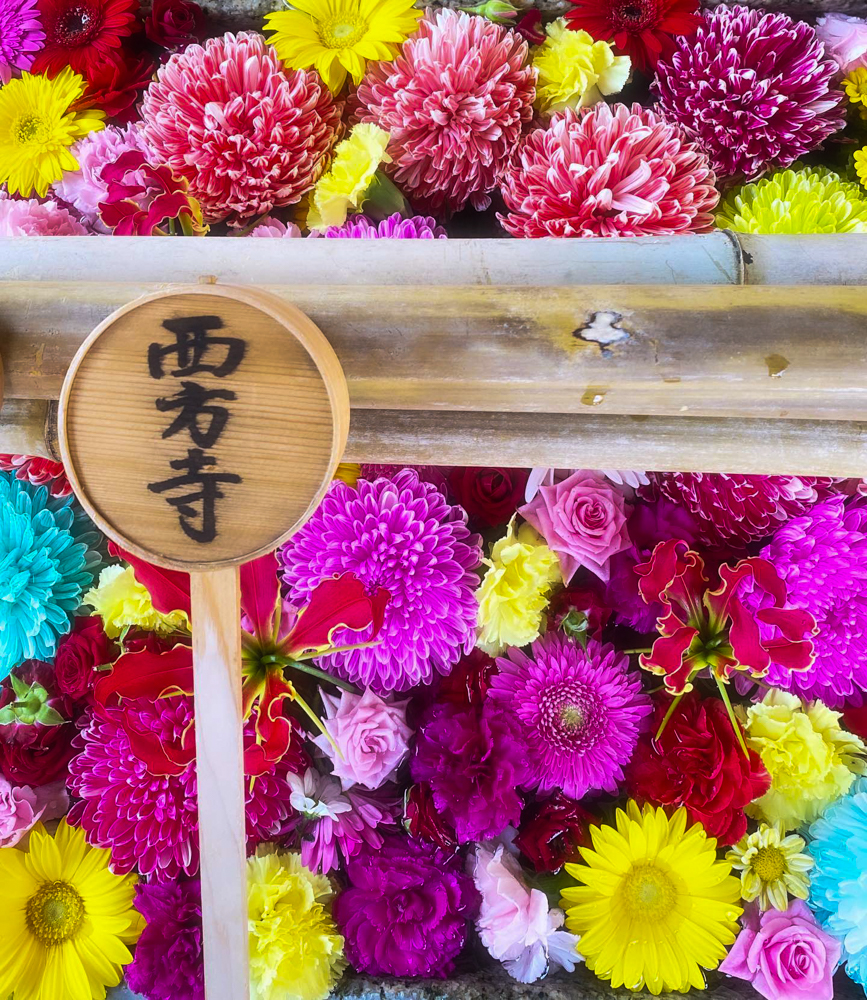 大浜てらまちウォーキング、花手水 、１０月秋、愛知県碧南市の観光・撮影スポットの画像と写真