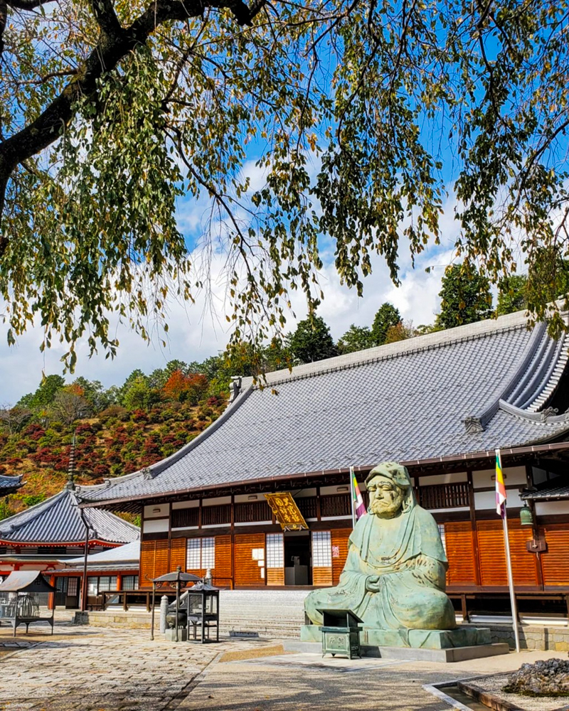岐阜大龍寺、どうだんつつじ、紅葉、秋の一般公開、11月秋、岐阜県岐阜市の観光・撮影スポットの名所