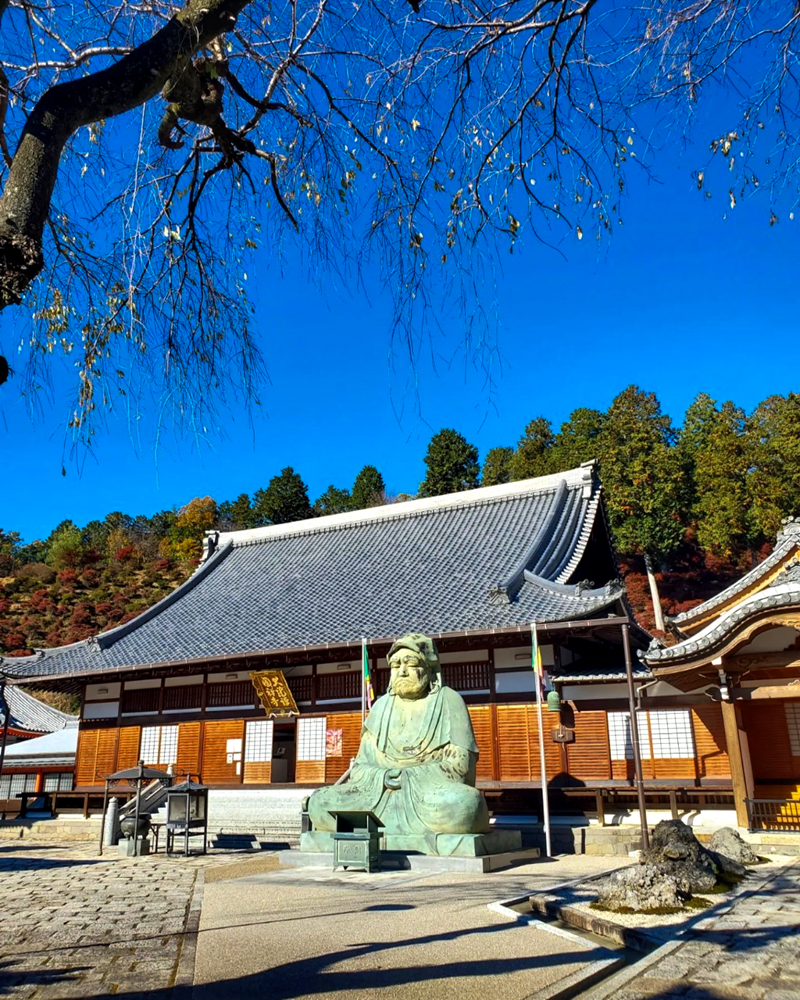 岐阜大龍寺、どうだんつつじ、紅葉、秋の一般公開、11月秋、岐阜県岐阜市の観光・撮影スポットの名所