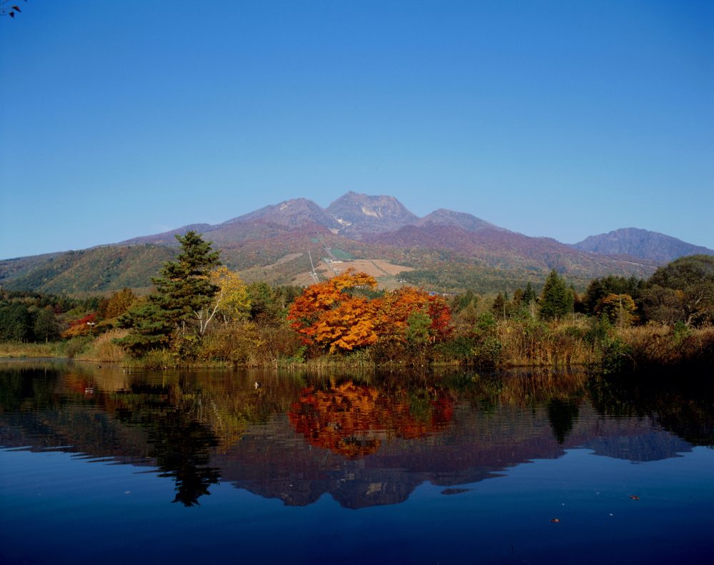 いもり池、紅葉、１０月、新潟県妙高市の観光・撮影スポット
