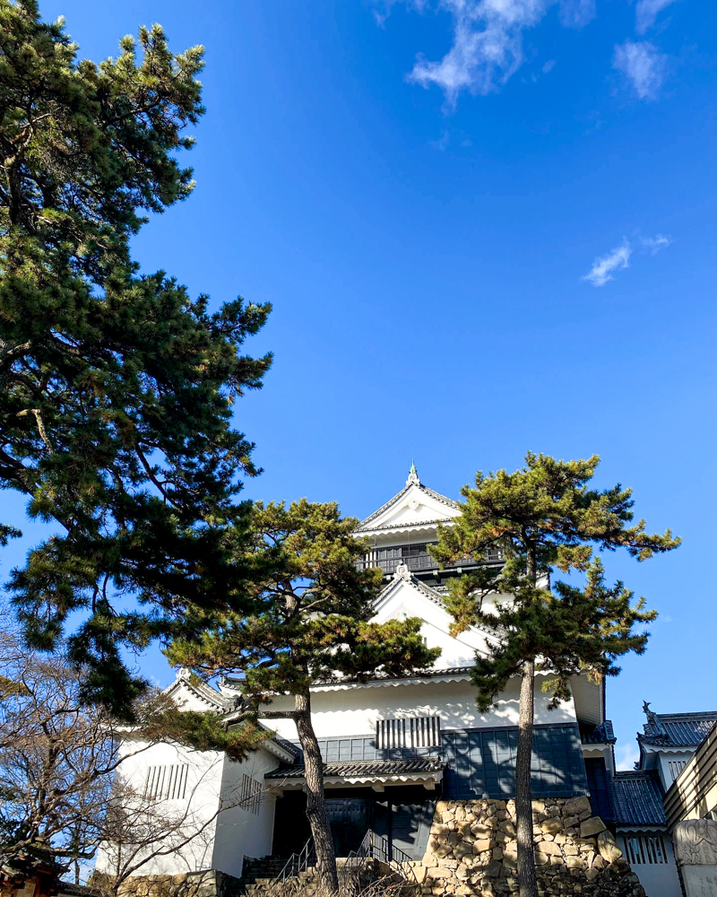 龍城城、愛知県岡崎市の観光・撮影スポットの写真や画像