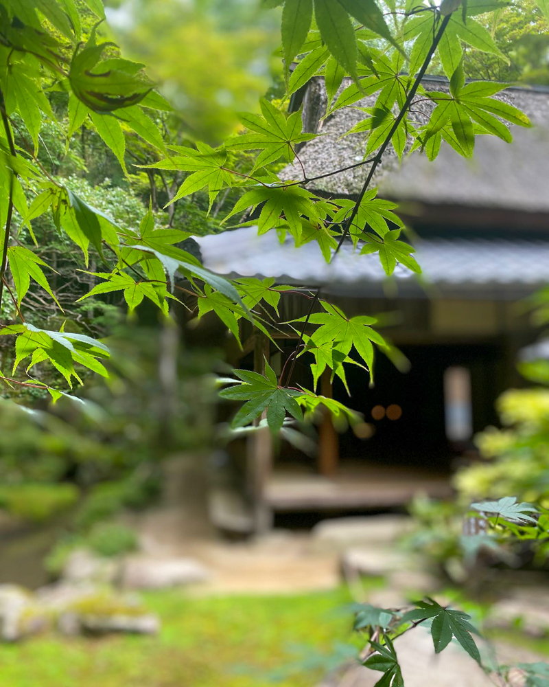 教林坊 、夏景色、新緑、6月夏、滋賀県近江八幡市の観光・撮影スポットの名所